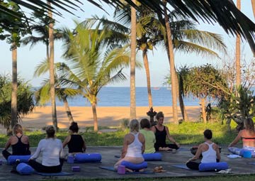 Enchanting Kerala: Nature, Wellness & Adventure Retreat