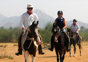 Rajasthan Horse Safari