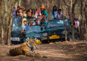 Temples, Tigers & The Taj